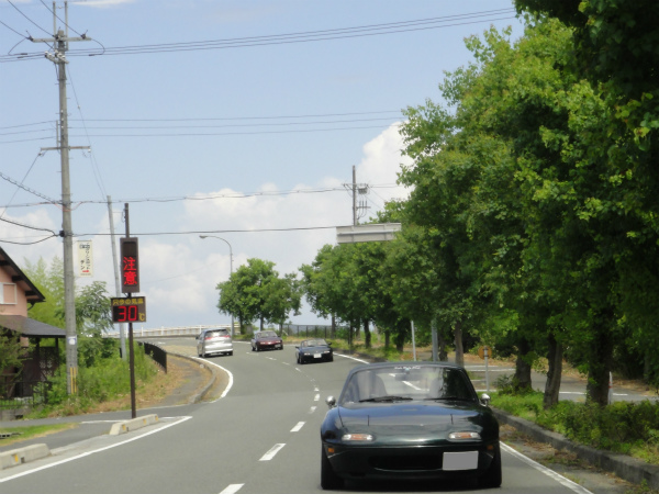 気温３０度の真夏日