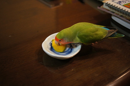DSC00600