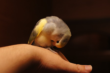 DSC05050