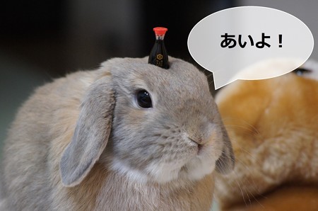 卵かけご飯3
