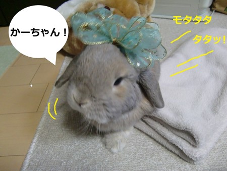 お返し1