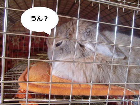 あ2