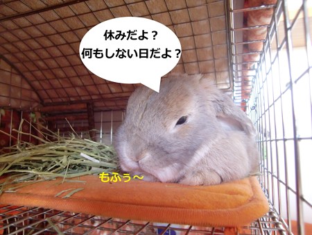 あ4