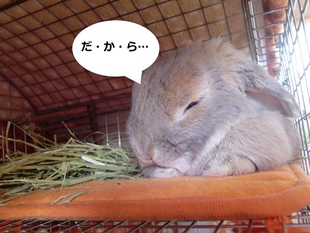 あ5