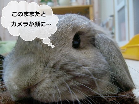 あ4