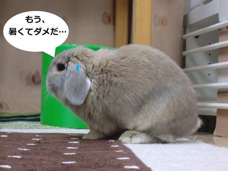 あ1