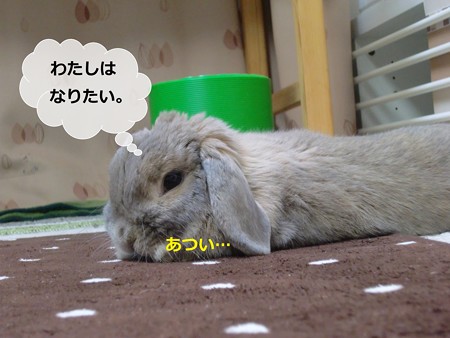 あ5