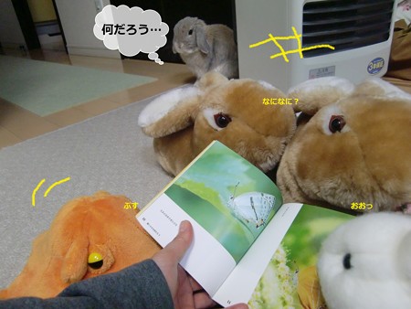 虫1