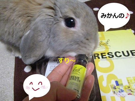 レスキュー1
