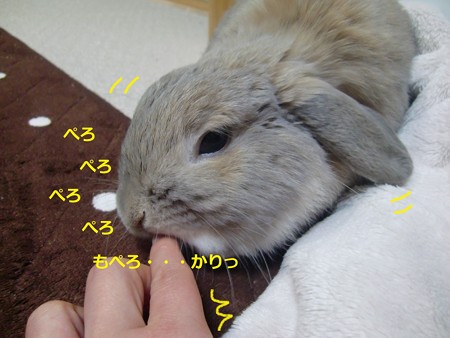 レスキュー4