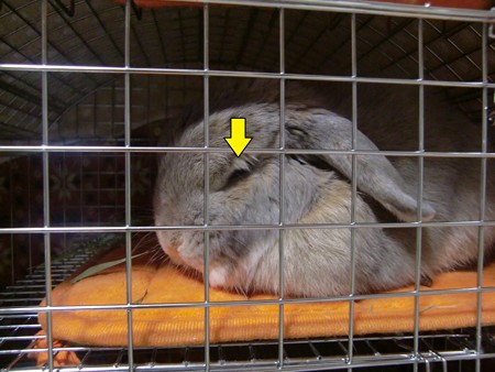 あ2