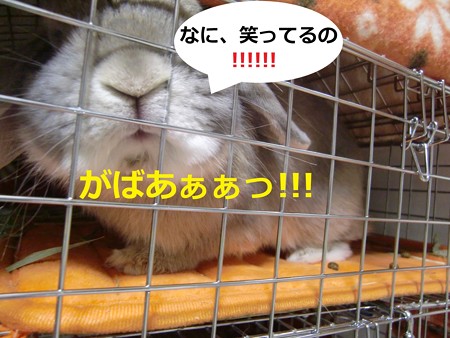 あ4