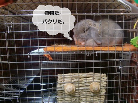 あ5