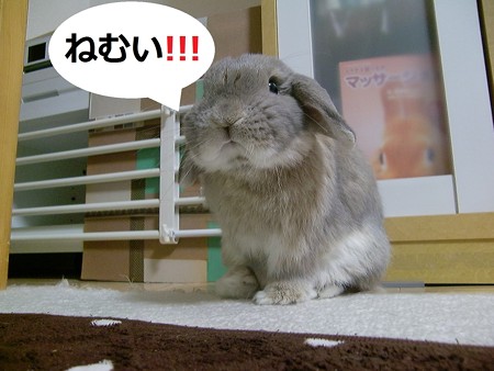 あ6