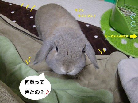 うさ小物3