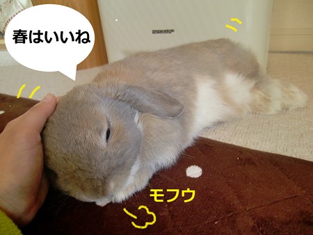 春7