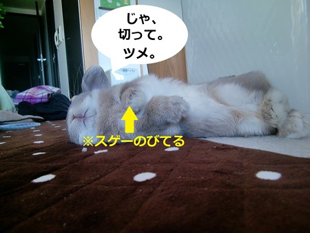 あ4