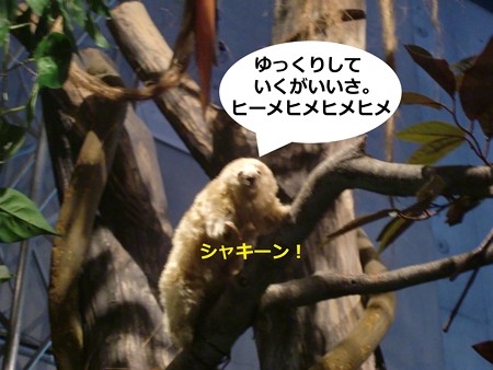 あ4