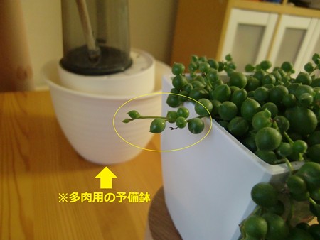 あ1