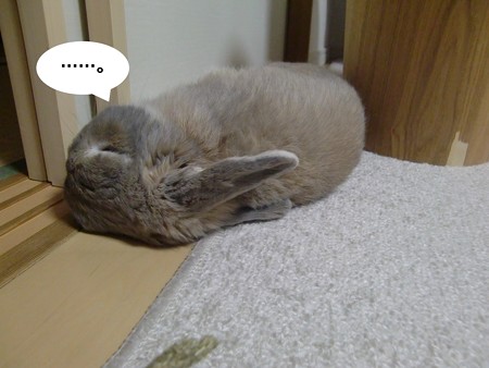 あ6