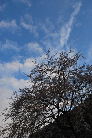 DSC_0224