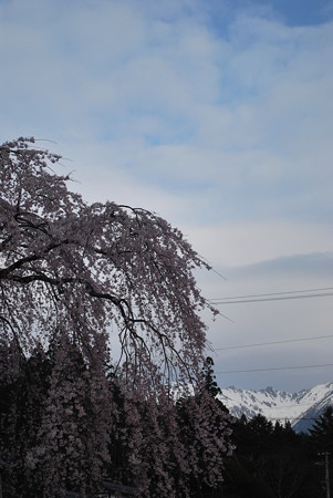 DSC_0253