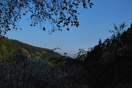 DSC_0294
