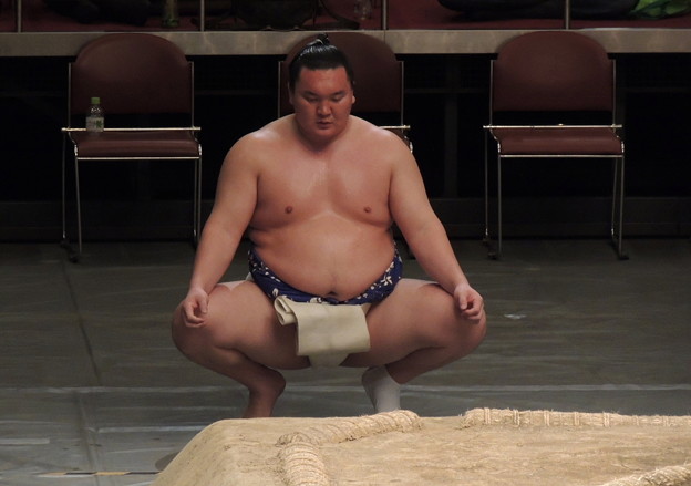 蹲踞 そんきょ する白鵬 Trang Chia Sẻ ảnh Photozou