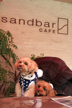 sandbar CAFE