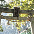 20100115 池田　亀の森住吉神社