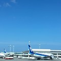 2020/1沖縄