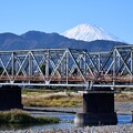 秋の小田急電鉄と小田原みかん山の風景 2023年