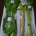 150326-4　長野土産の野菜