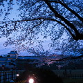 金沢城と桜(3)